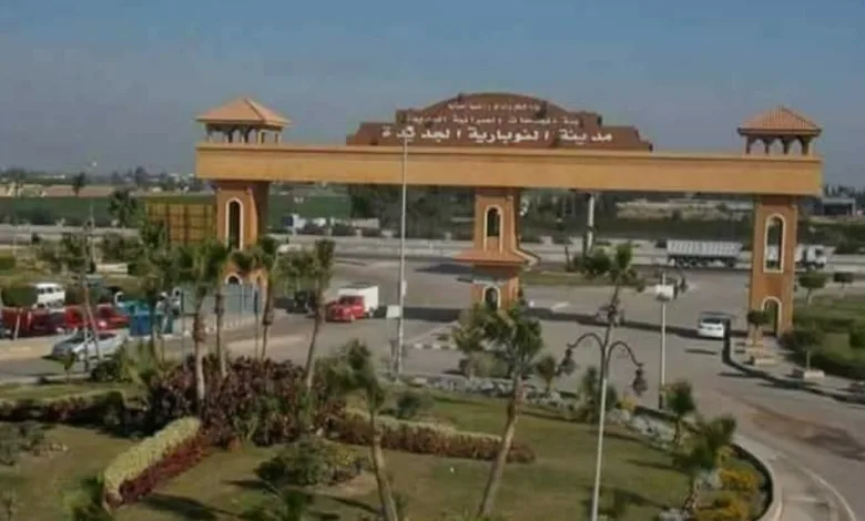 موسم النوباريه اطلاله جديده يطلقها شباب النوباريه 3 IMG ٢٠٢٥١١٢٨ ١٤١٦٢٧