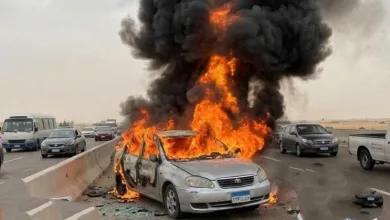 IMG ٢٠٢٦٠٥٢٠ ٠٨٠٢١٢